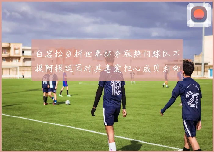 白岩松分析世界杯夺冠热门球队不提阿根廷因对其喜爱担心成贝利命运