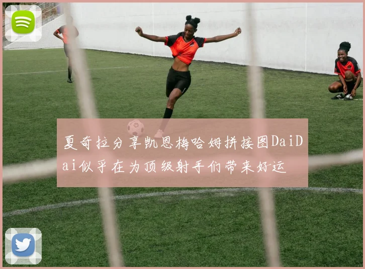 夏奇拉分享凯恩梅哈姆拼接图DaiDai似乎在为顶级射手们带来好运